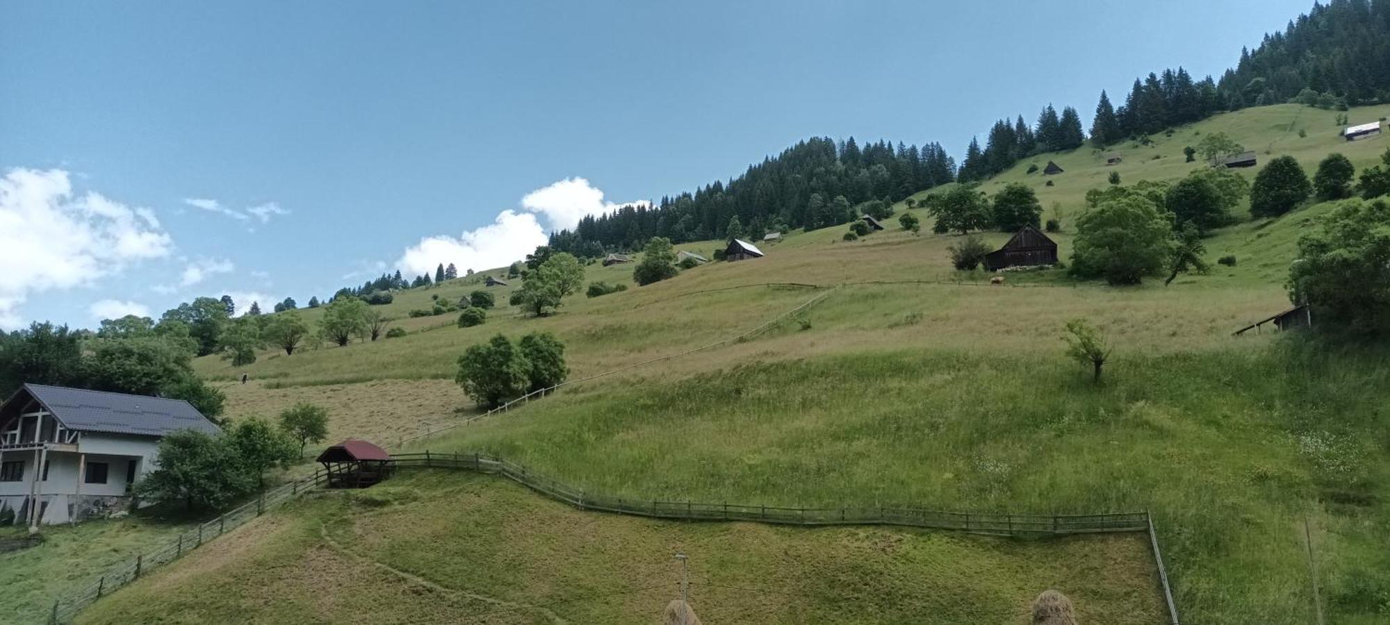 Pensiunea Sorina Casa Alba Moeciu De Sus Esterno foto